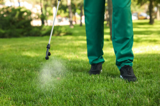 Best Pest Removal Services  in Woodmere, LA