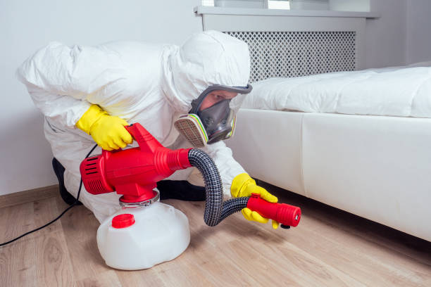 Best Best Pest Control Companies  in Woodmere, LA