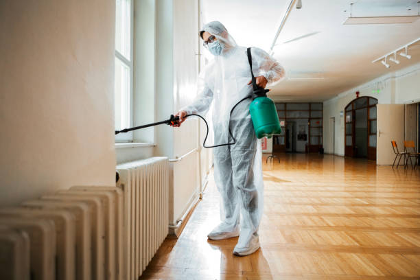 Best Pest Control for Businesses  in Woodmere, LA