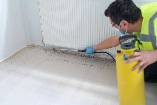 Best Pest Control Near Me  in Woodmere, LA