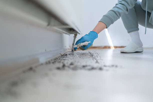 Best Residential Pest Control  in Woodmere, LA