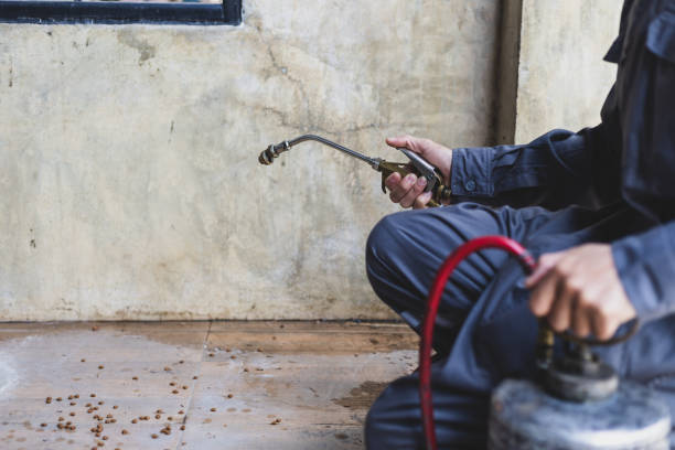 Pest Prevention Services in Woodmere, LA